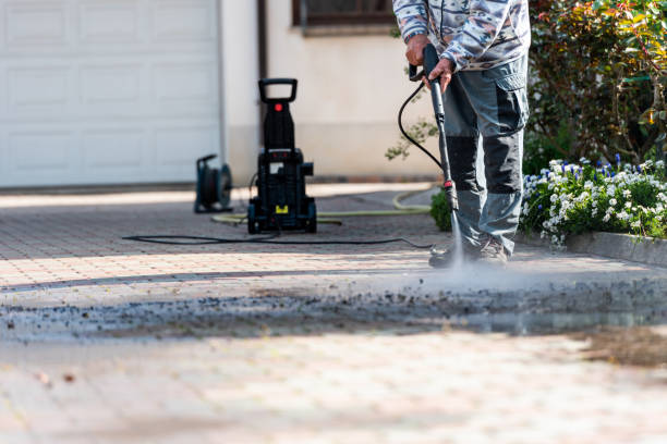 Best Exterior Home Cleaning  in Minden, NV